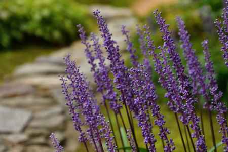 大原の里、つつましく