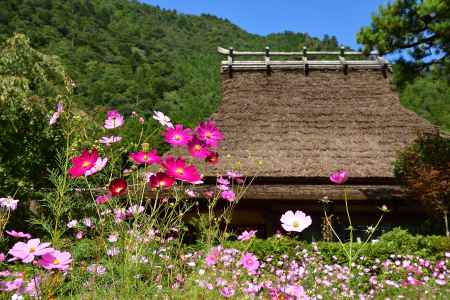 美山の彩月（いろどりづき）