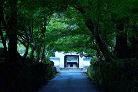 静寂、琴の坂、