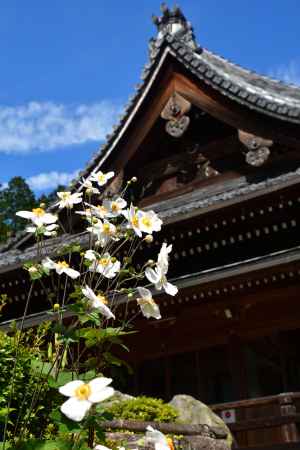 西山、花寺の秋