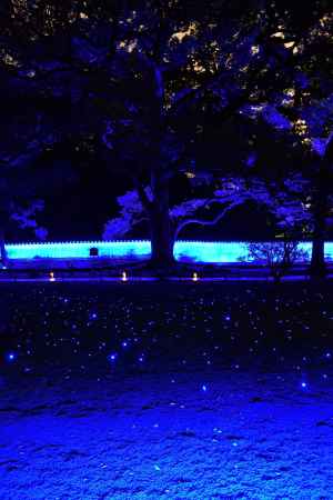 粟田御所の幻夢