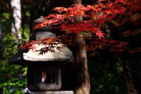 楓灯の石燈籠