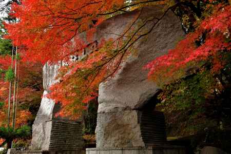 禅寺、彩る霜月