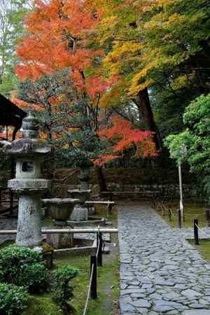 鹿ヶ谷、秋深し