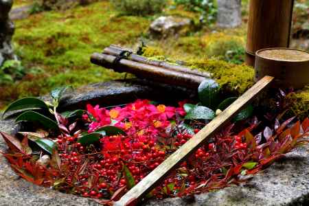 春告げるおもてなし