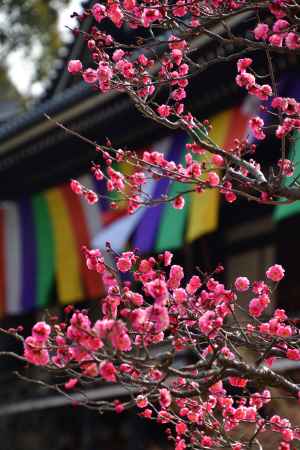 東山、春の兆し