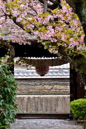 西陣、春色織物