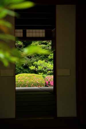 洛北、皐月の便り