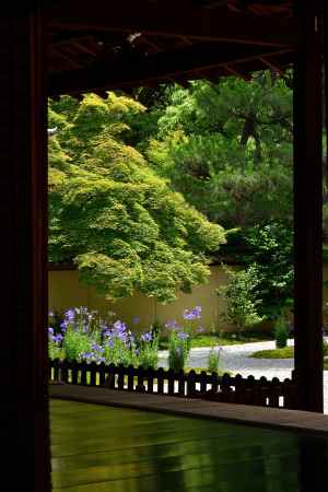桔梗の寺、緑の候