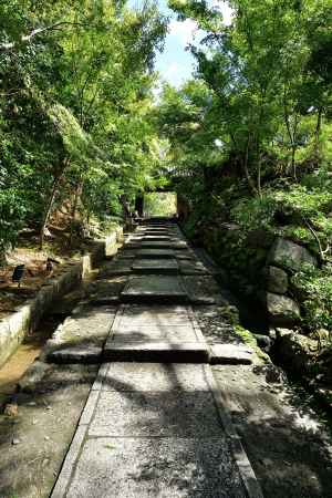 東山、緑の陰影