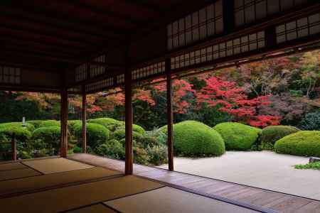 秋深し、丈山の庭