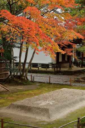 染まる白砂の庭