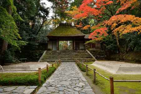東山、彩る深秋
