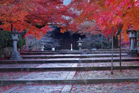 霜月、静寂の彩