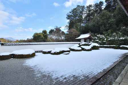 白い衣の獅子たち