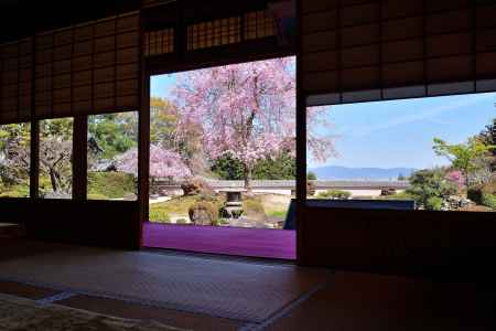 書院、春の趣き