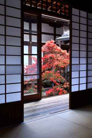 宿坊、静かな春