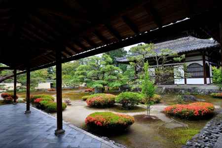 嵯峨、和みの候