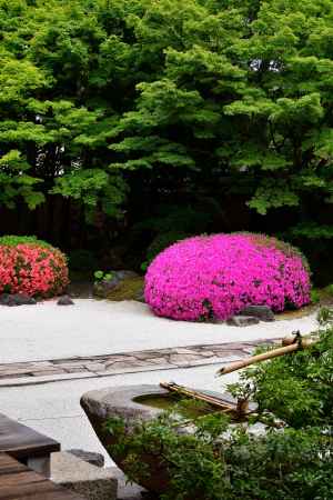 彩り、白砂の庭