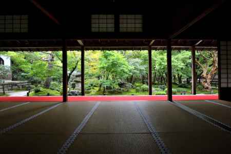 深遠、土牛の庭