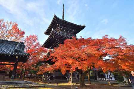東山、錦秋の塔
