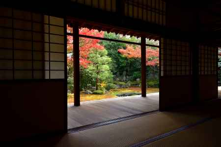 静かな彩葉（いろは）