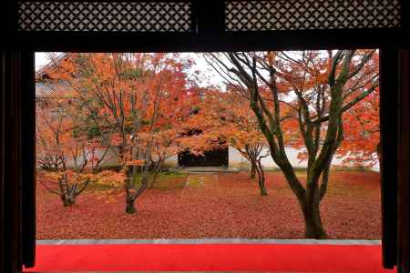 朱の楓庭