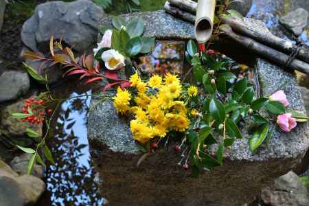 茶人の花あしらい