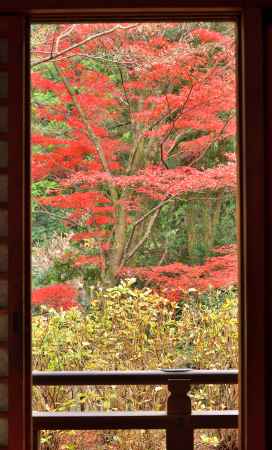 西山、楓の間