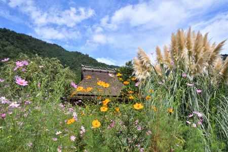 秋彩る丹後の里