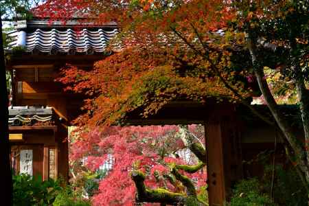 深秋の山寺