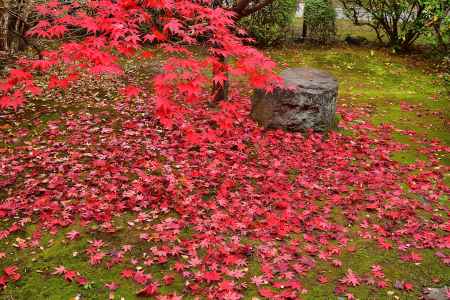 深紅、鎮魂の社