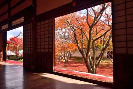 楓染まる具足山