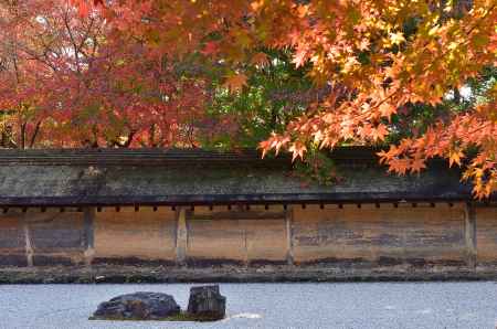 石庭、晩秋の楓彩