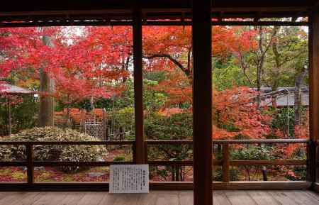 やすらぎの楓図