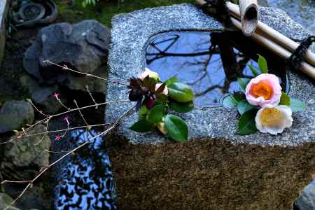 春節、静なる花活け