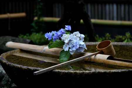 清涼の手水鉢