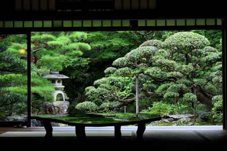 御室、清涼の設え