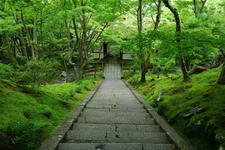小倉山、夏の涼景