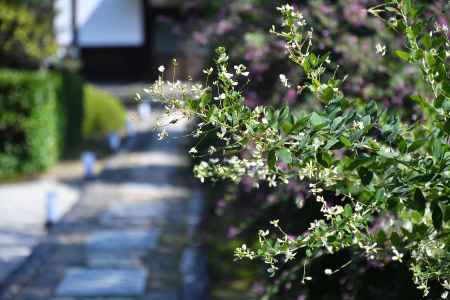 東山、秋の到来