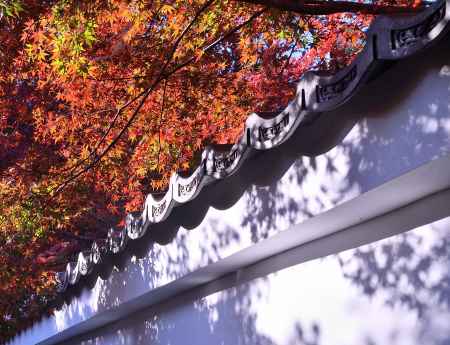  矢田宮の彩は（いろは）