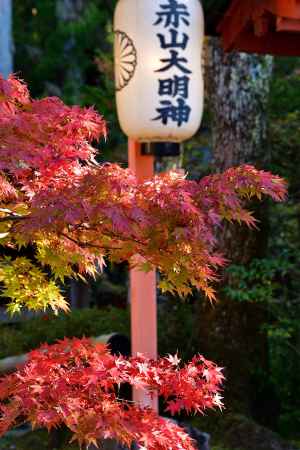 禅院、椛の祈願