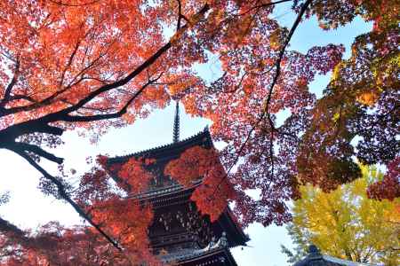 秋空、鮮やかに