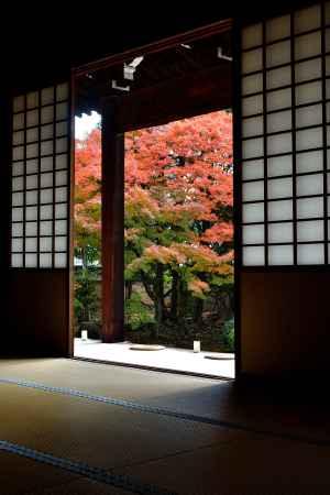 寺之内、楓の美景