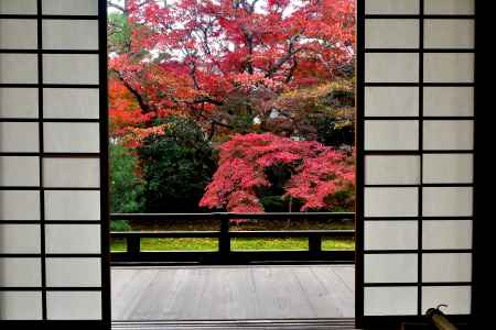 人形の寺、秋深し