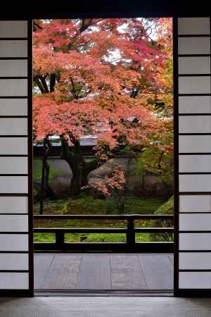 尼門跡の秋景色