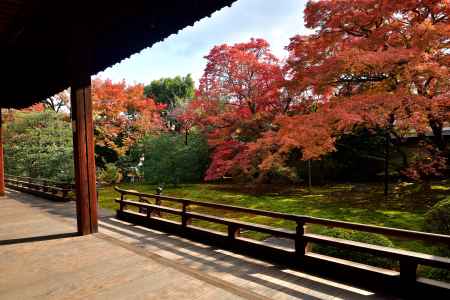 人形寺の秋朱印