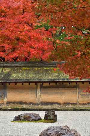 深秋の枯山水