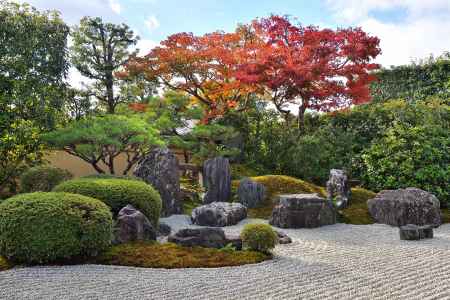 深秋、蓬萊の石組