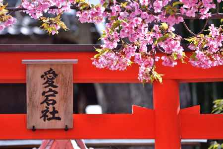 春風、藝能の社